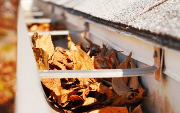 Bassett Green gutter cleaning companies